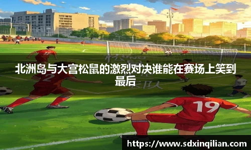 北洲岛与大宫松鼠的激烈对决谁能在赛场上笑到最后